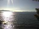 ./images/koeye/fitz-hugh/20200910/fitz-hugh20200910_162001.jpg