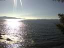 ./images/koeye/fitz-hugh/20200910/fitz-hugh20200910_162502.jpg