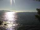 ./images/koeye/fitz-hugh/20200910/fitz-hugh20200910_163502.jpg