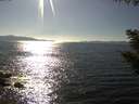 ./images/koeye/fitz-hugh/20200910/fitz-hugh20200910_164002.jpg
