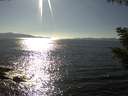 ./images/koeye/fitz-hugh/20200910/fitz-hugh20200910_164502.jpg