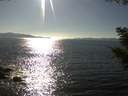 ./images/koeye/fitz-hugh/20200910/fitz-hugh20200910_165002.jpg