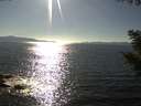 ./images/koeye/fitz-hugh/20200910/fitz-hugh20200910_165502.jpg