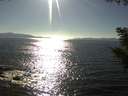 ./images/koeye/fitz-hugh/20200910/fitz-hugh20200910_170502.jpg