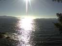./images/koeye/fitz-hugh/20200910/fitz-hugh20200910_171502.jpg