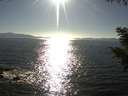 ./images/koeye/fitz-hugh/20200910/fitz-hugh20200910_172002.jpg