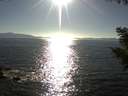 ./images/koeye/fitz-hugh/20200910/fitz-hugh20200910_172502.jpg