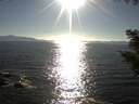 ./images/koeye/fitz-hugh/20200910/fitz-hugh20200910_173501.jpg