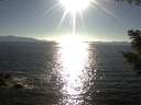 ./images/koeye/fitz-hugh/20200910/fitz-hugh20200910_174001.jpg