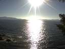./images/koeye/fitz-hugh/20200910/fitz-hugh20200910_174501.jpg