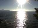 ./images/koeye/fitz-hugh/20200910/fitz-hugh20200910_175001.jpg