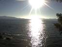 ./images/koeye/fitz-hugh/20200910/fitz-hugh20200910_175501.jpg