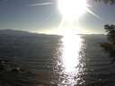 ./images/koeye/fitz-hugh/20200910/fitz-hugh20200910_180501.jpg