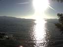 ./images/koeye/fitz-hugh/20200910/fitz-hugh20200910_181001.jpg