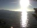 ./images/koeye/fitz-hugh/20200910/fitz-hugh20200910_181501.jpg