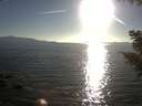./images/koeye/fitz-hugh/20200910/fitz-hugh20200910_182001.jpg