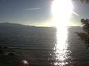 ./images/koeye/fitz-hugh/20200910/fitz-hugh20200910_182501.jpg
