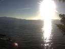 ./images/koeye/fitz-hugh/20200910/fitz-hugh20200910_183501.jpg