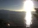 ./images/koeye/fitz-hugh/20200910/fitz-hugh20200910_184001.jpg