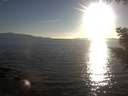 ./images/koeye/fitz-hugh/20200910/fitz-hugh20200910_184501.jpg
