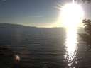./images/koeye/fitz-hugh/20200910/fitz-hugh20200910_185001.jpg