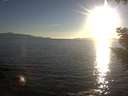 ./images/koeye/fitz-hugh/20200910/fitz-hugh20200910_185501.jpg