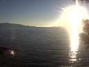 ./images/koeye/fitz-hugh/20200910/fitz-hugh20200910_190501.jpg