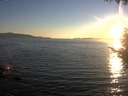 ./images/koeye/fitz-hugh/20200910/fitz-hugh20200910_192501.jpg