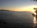 ./images/koeye/fitz-hugh/20200910/fitz-hugh20200910_193502.jpg