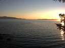 ./images/koeye/fitz-hugh/20200910/fitz-hugh20200910_194002.jpg