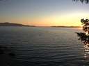 ./images/koeye/fitz-hugh/20200910/fitz-hugh20200910_194502.jpg