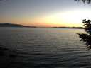 ./images/koeye/fitz-hugh/20200910/fitz-hugh20200910_200502.jpg