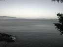 ./images/koeye/fitz-hugh/20200911/fitz-hugh20200911_062001.jpg