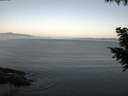 ./images/koeye/fitz-hugh/20200911/fitz-hugh20200911_062501.jpg