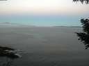 ./images/koeye/fitz-hugh/20200911/fitz-hugh20200911_064501.jpg