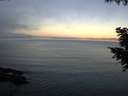 ./images/koeye/fitz-hugh/20200911/fitz-hugh20200911_072502.jpg