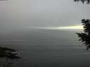 ./images/koeye/fitz-hugh/20200911/fitz-hugh20200911_073502.jpg