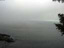 ./images/koeye/fitz-hugh/20200911/fitz-hugh20200911_074002.jpg