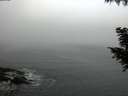 ./images/koeye/fitz-hugh/20200911/fitz-hugh20200911_074502.jpg