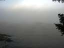 ./images/koeye/fitz-hugh/20200911/fitz-hugh20200911_075002.jpg