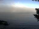 ./images/koeye/fitz-hugh/20200911/fitz-hugh20200911_082501.jpg