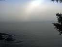 ./images/koeye/fitz-hugh/20200911/fitz-hugh20200911_083501.jpg