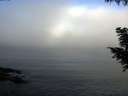 ./images/koeye/fitz-hugh/20200911/fitz-hugh20200911_084001.jpg