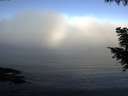 ./images/koeye/fitz-hugh/20200911/fitz-hugh20200911_084501.jpg
