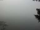 ./images/koeye/fitz-hugh/20200911/fitz-hugh20200911_093501.jpg