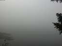 ./images/koeye/fitz-hugh/20200911/fitz-hugh20200911_094501.jpg