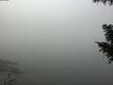 ./images/koeye/fitz-hugh/20200911/fitz-hugh20200911_095001.jpg