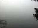 ./images/koeye/fitz-hugh/20200911/fitz-hugh20200911_095501.jpg