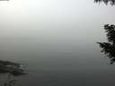 ./images/koeye/fitz-hugh/20200911/fitz-hugh20200911_100002.jpg