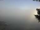 ./images/koeye/fitz-hugh/20200911/fitz-hugh20200911_101502.jpg